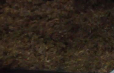 Grass Silage