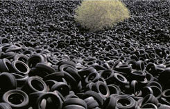 tyre washing